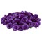 75 Pack Mini Artificial Purple Roses for Valentine's Decorations, DIY Crafts, 2-Inch Stemless Flower Heads for Wall Decor, Weddings, Bouquets